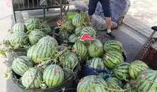 邹城吃瓜最新事件爆料,揭秘背后惊人真相